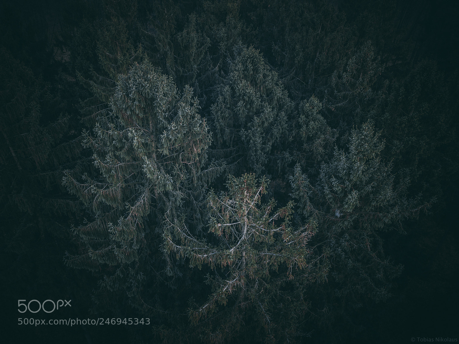 DJI FC220 sample photo. This is the first photography