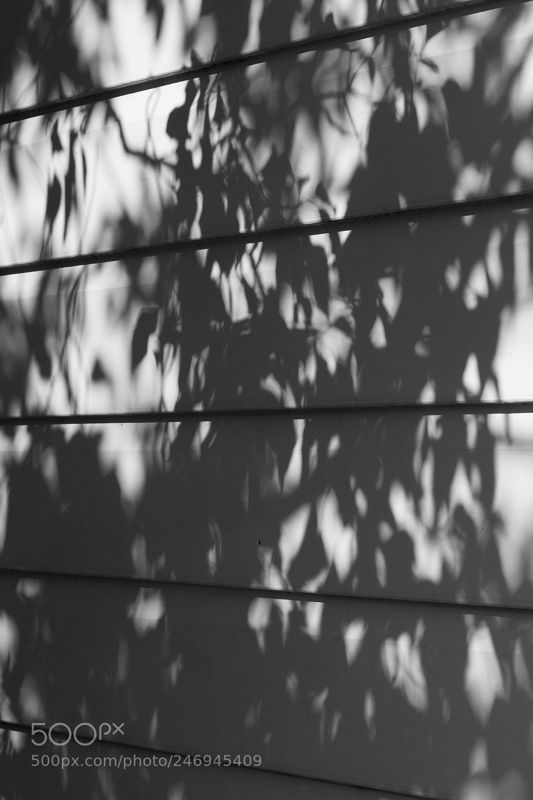 Canon EOS M sample photo. Summer holding on photography