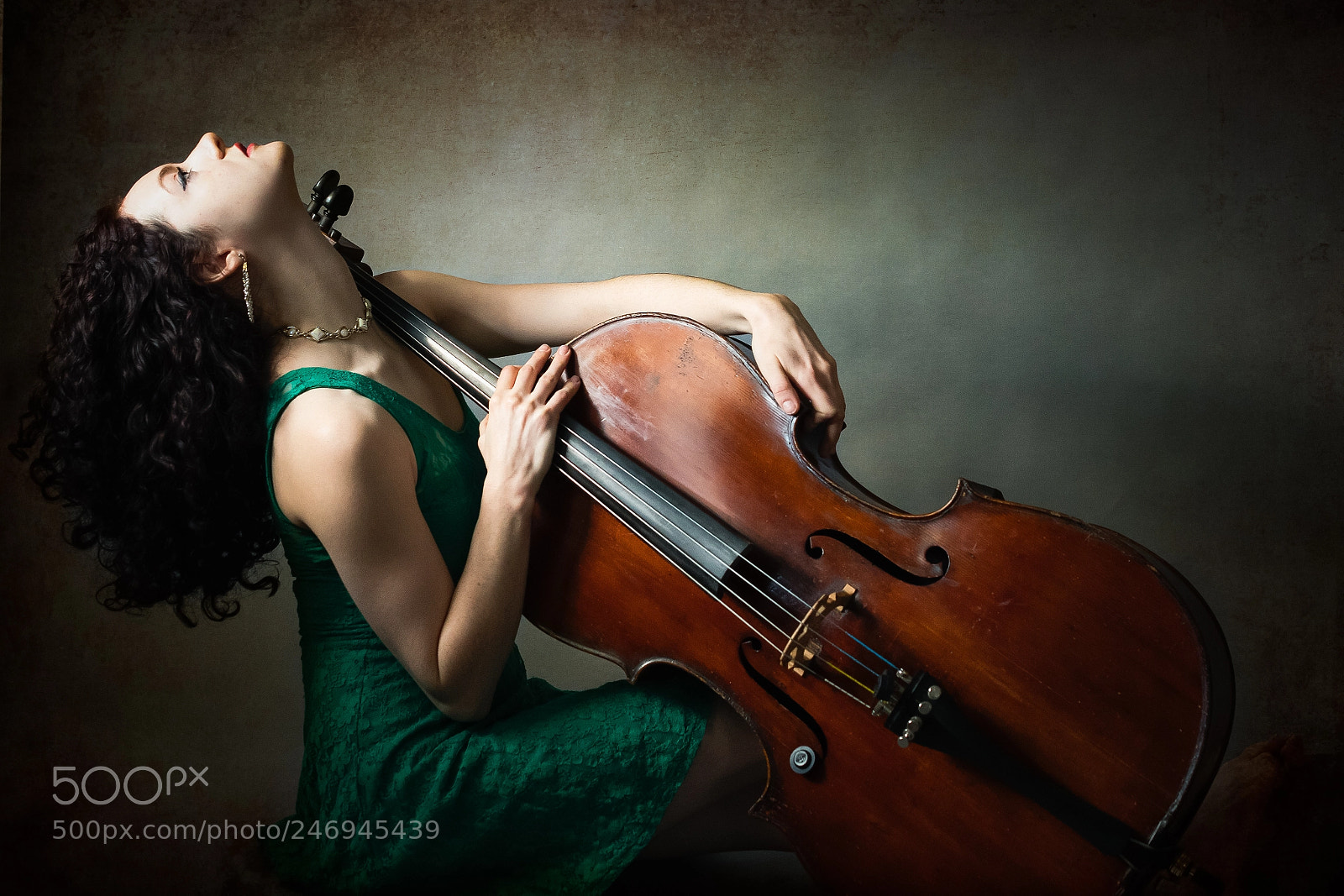 Nikon D500 sample photo. The cellist photography