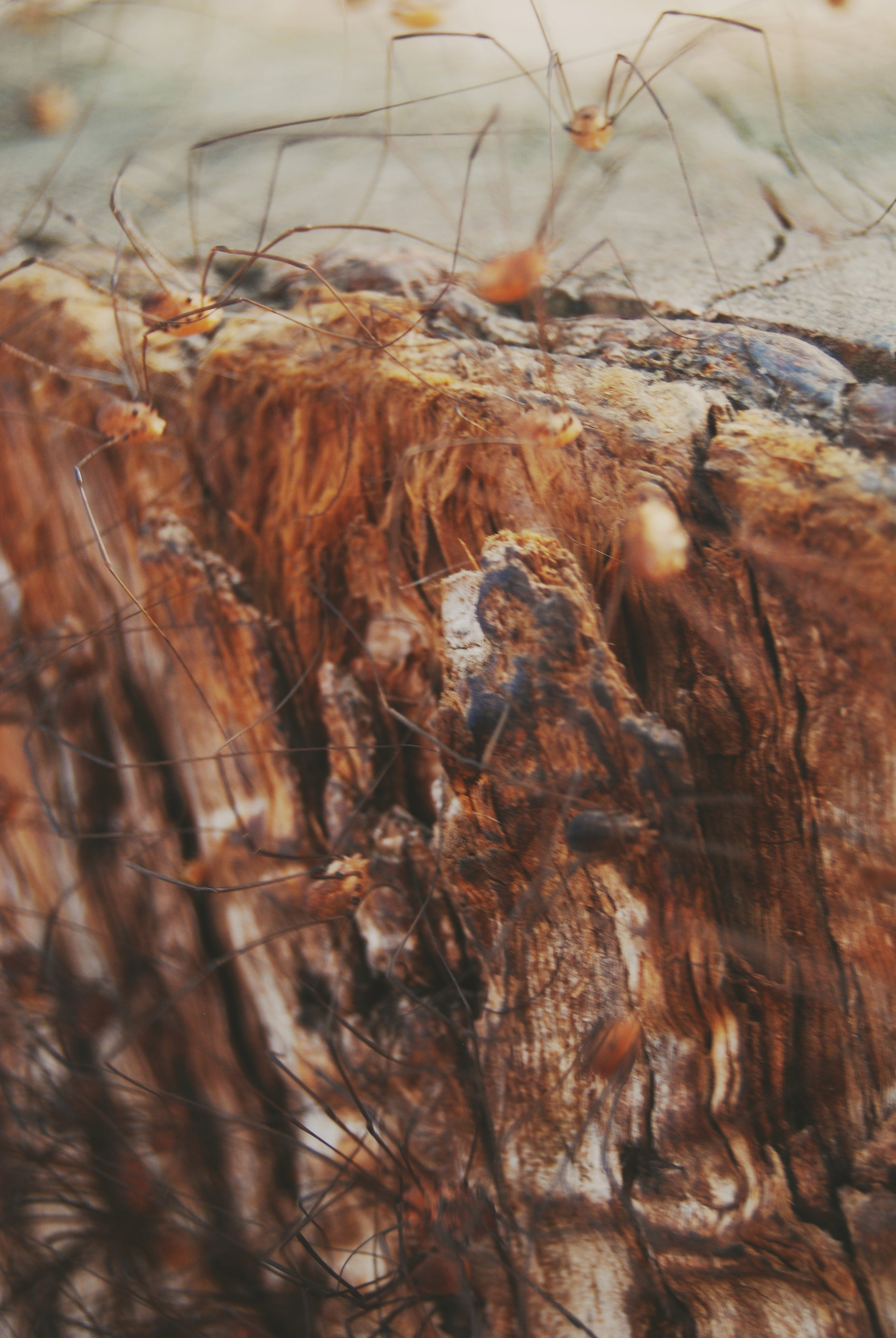 Nikon D40X sample photo. In the end photography