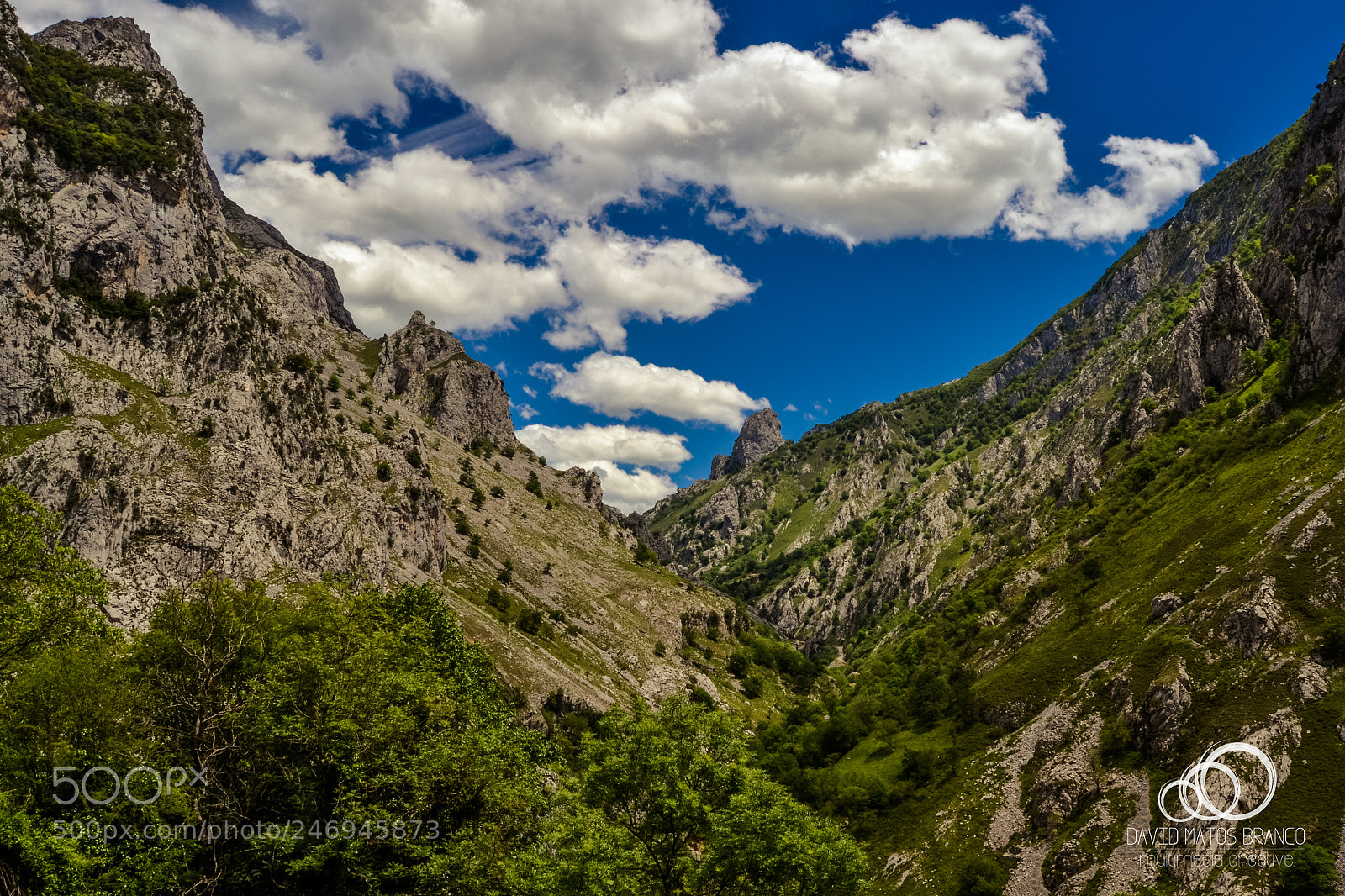 Nikon D3100 sample photo. Naranjo de bulnes photography