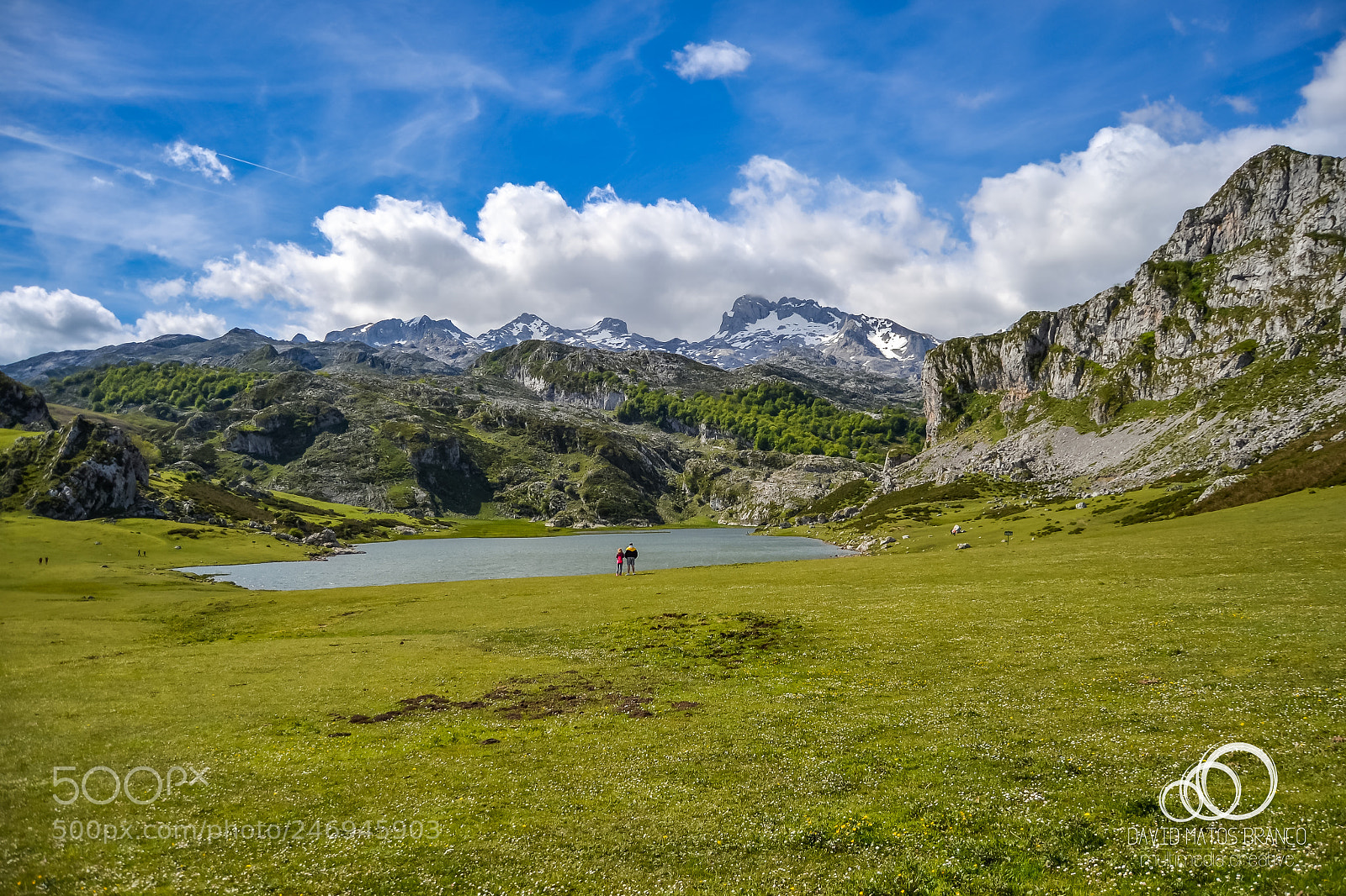 Nikon D3100 sample photo. Lagos de covadonga photography