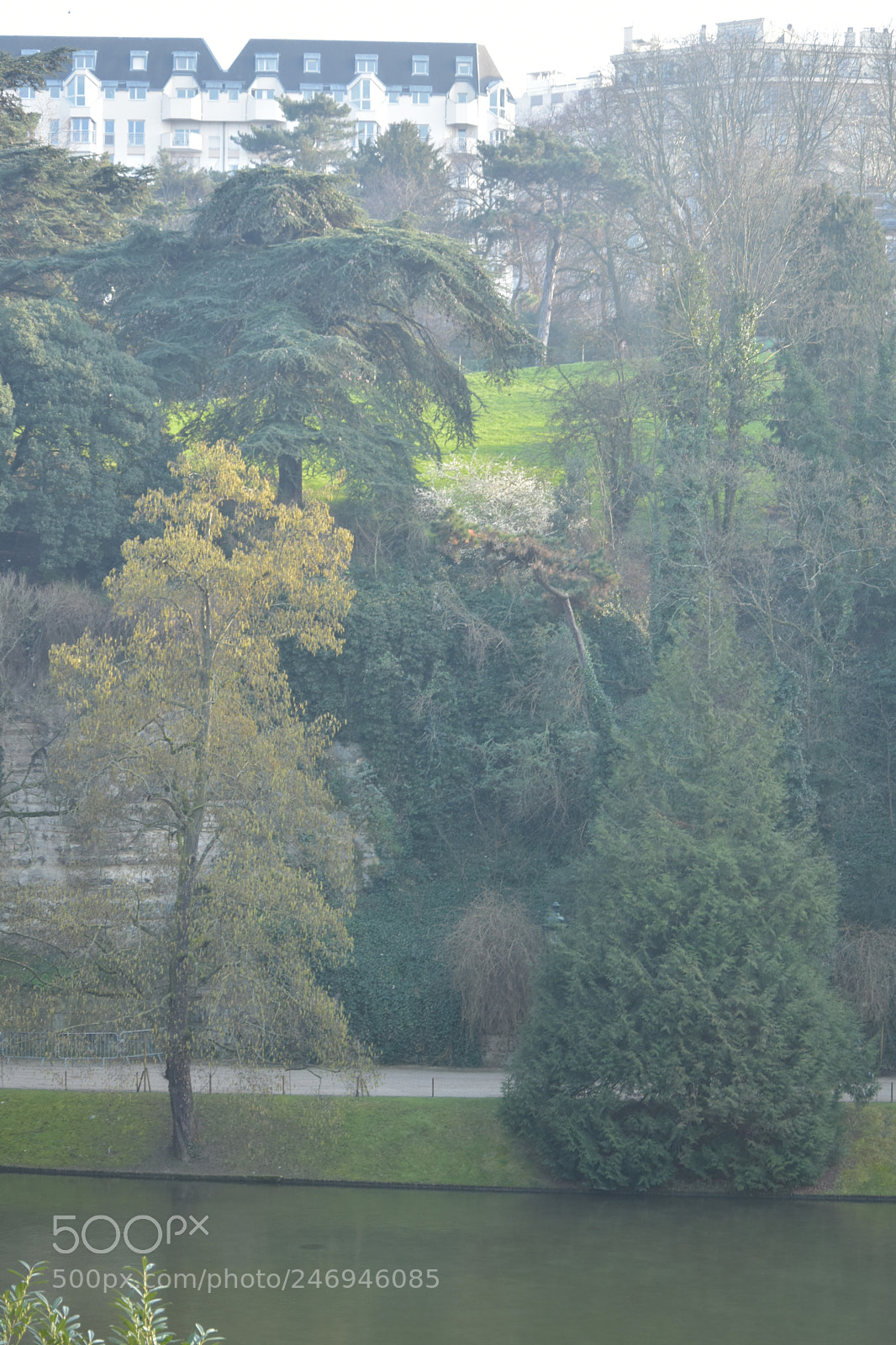 Nikon D3400 sample photo. Buttechaumont photography