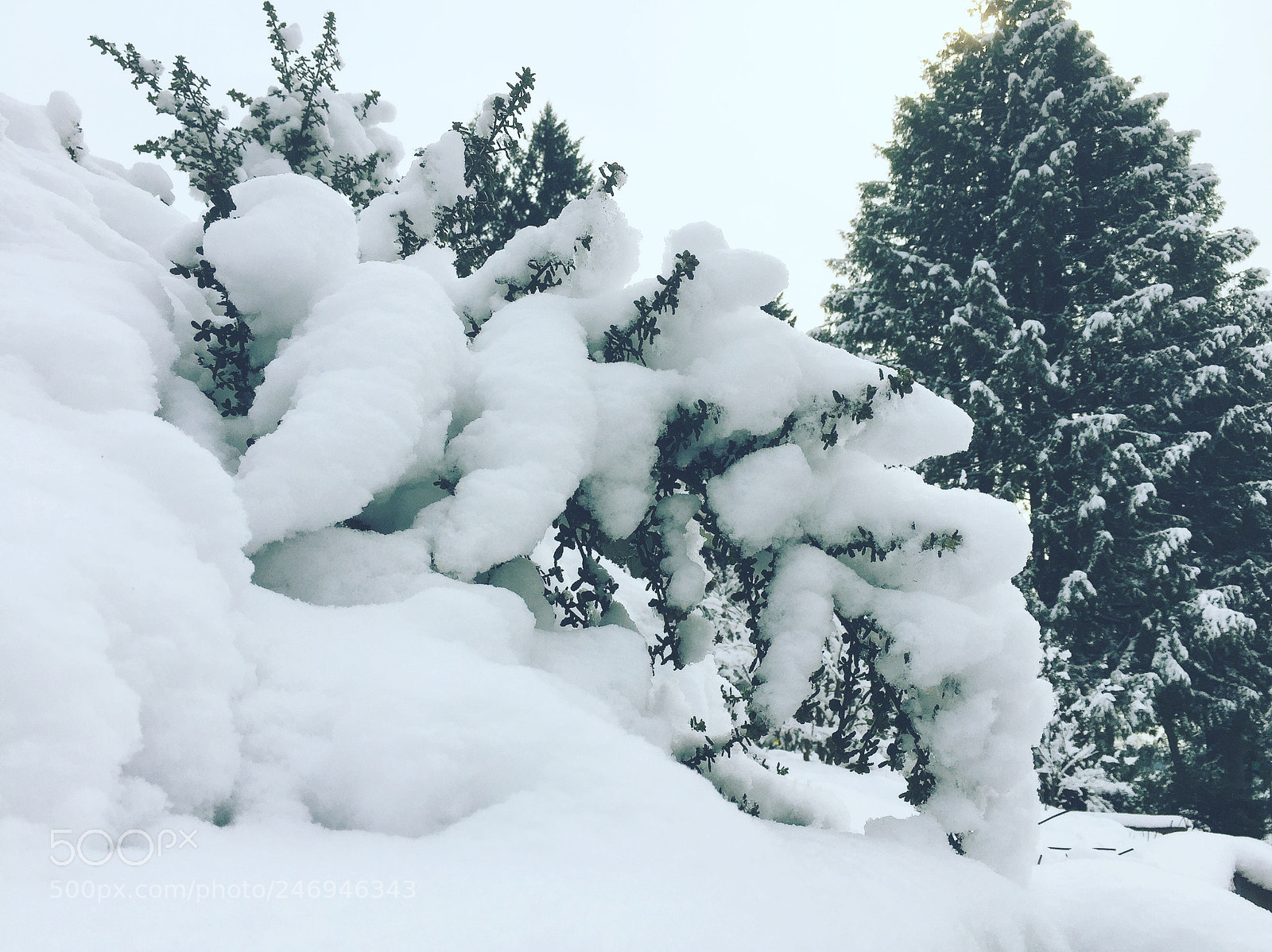 Apple iPhone 6 sample photo. Snow, oregon photography