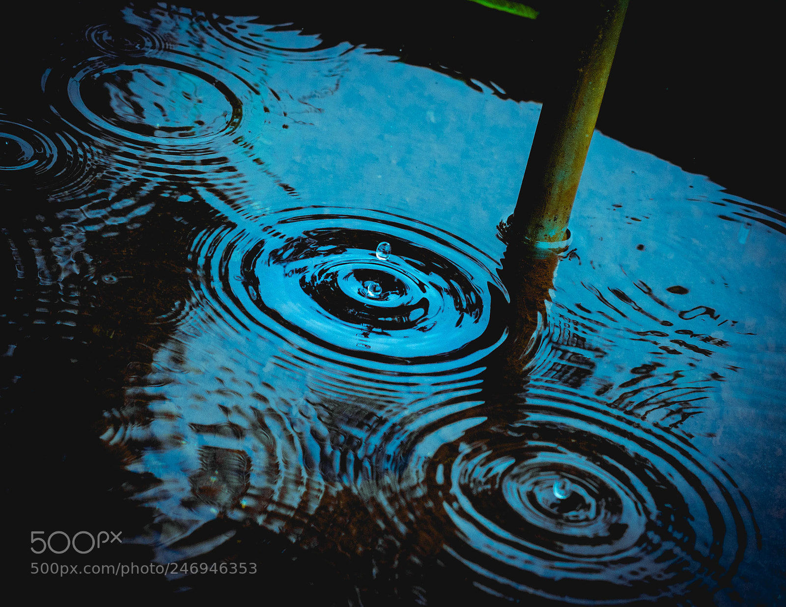 Canon EOS 750D (EOS Rebel T6i / EOS Kiss X8i) sample photo. Drop of water photography