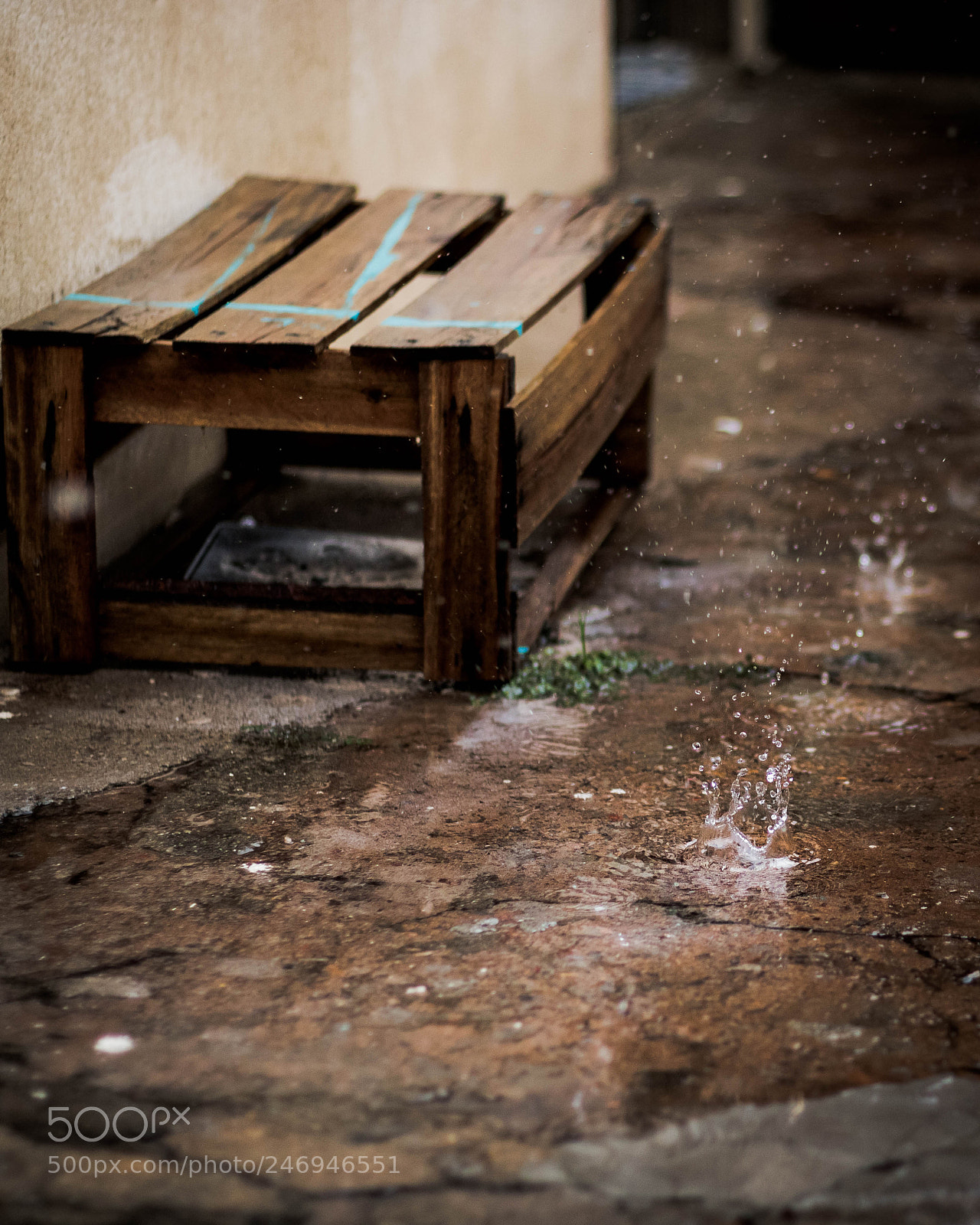 Canon EOS 750D (EOS Rebel T6i / EOS Kiss X8i) sample photo. Rain drop photography