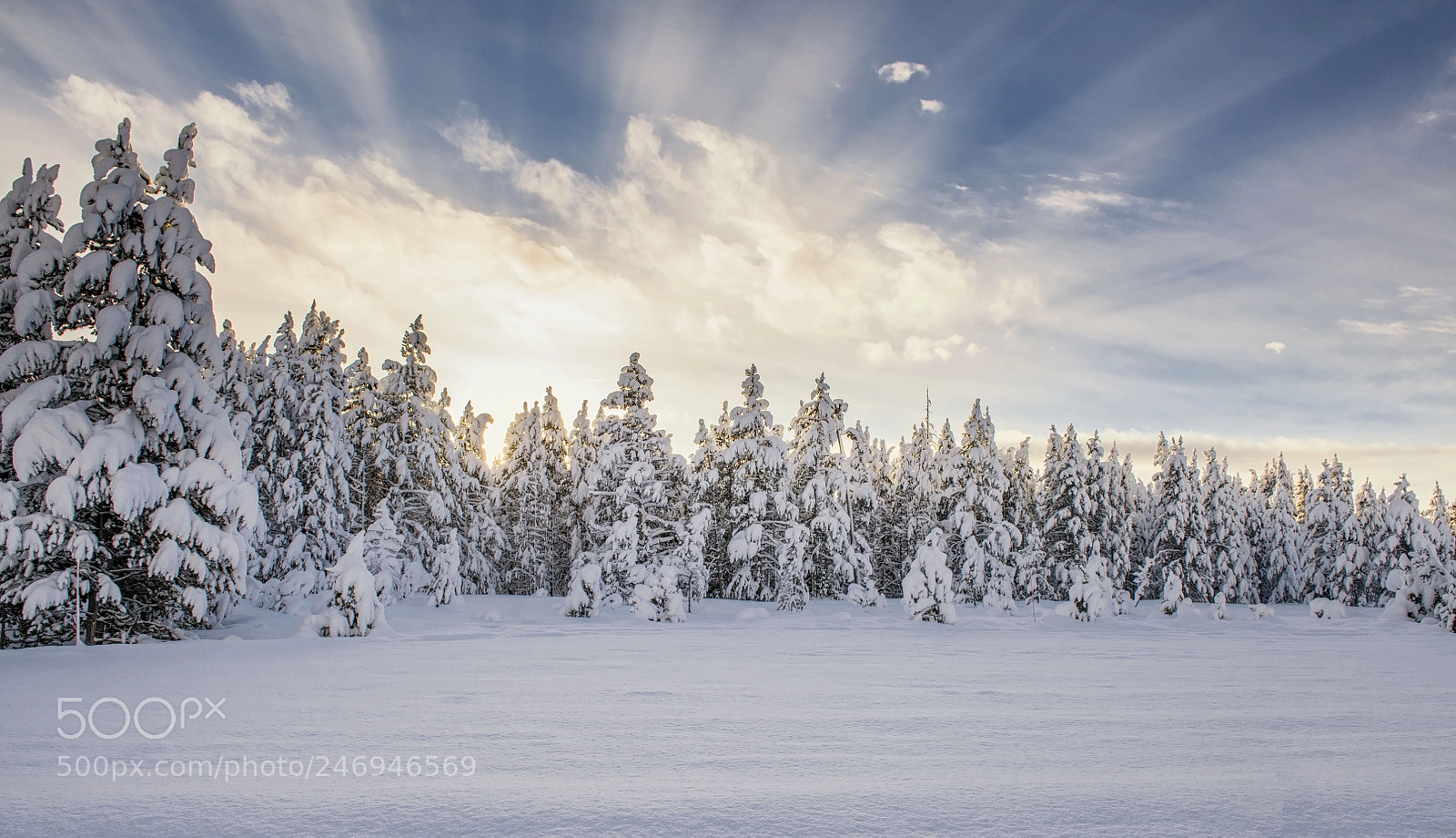 Nikon D850 sample photo. Wintry sunrise photography
