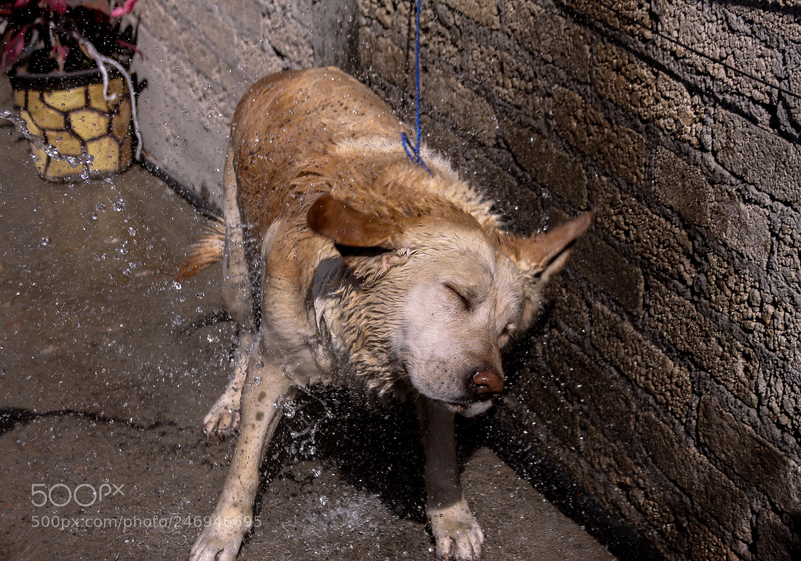 Canon EOS 50D sample photo. Baño photography
