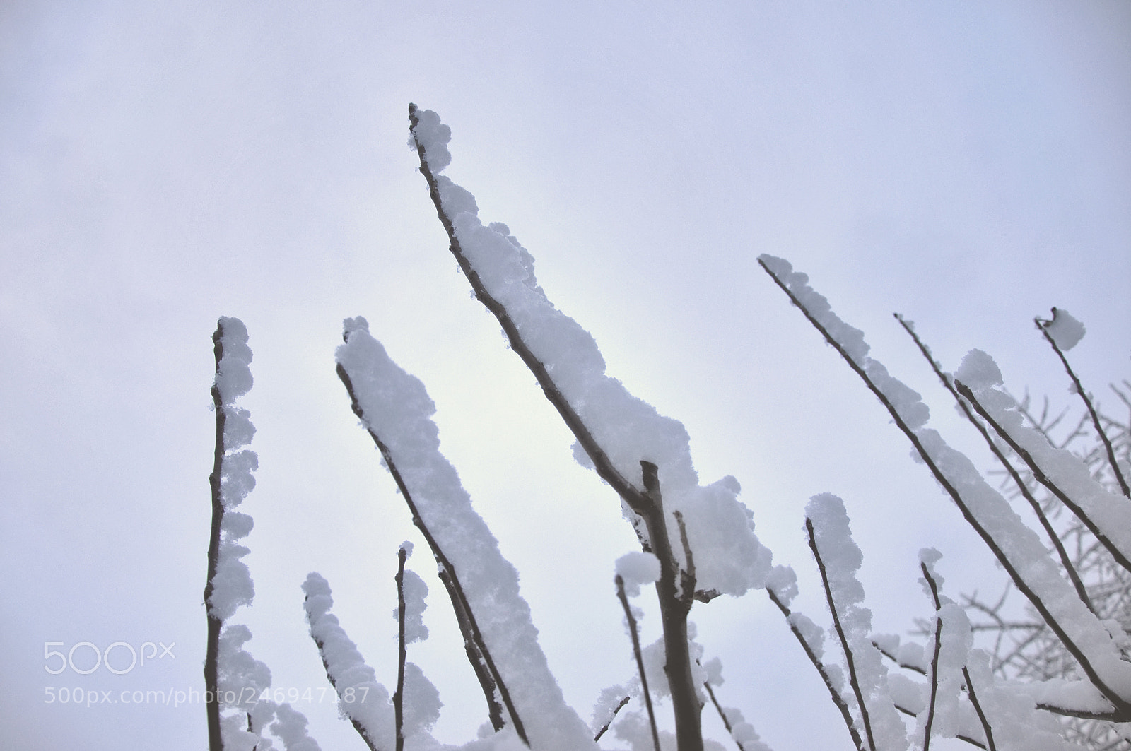 Nikon D90 sample photo. Winter morning photography