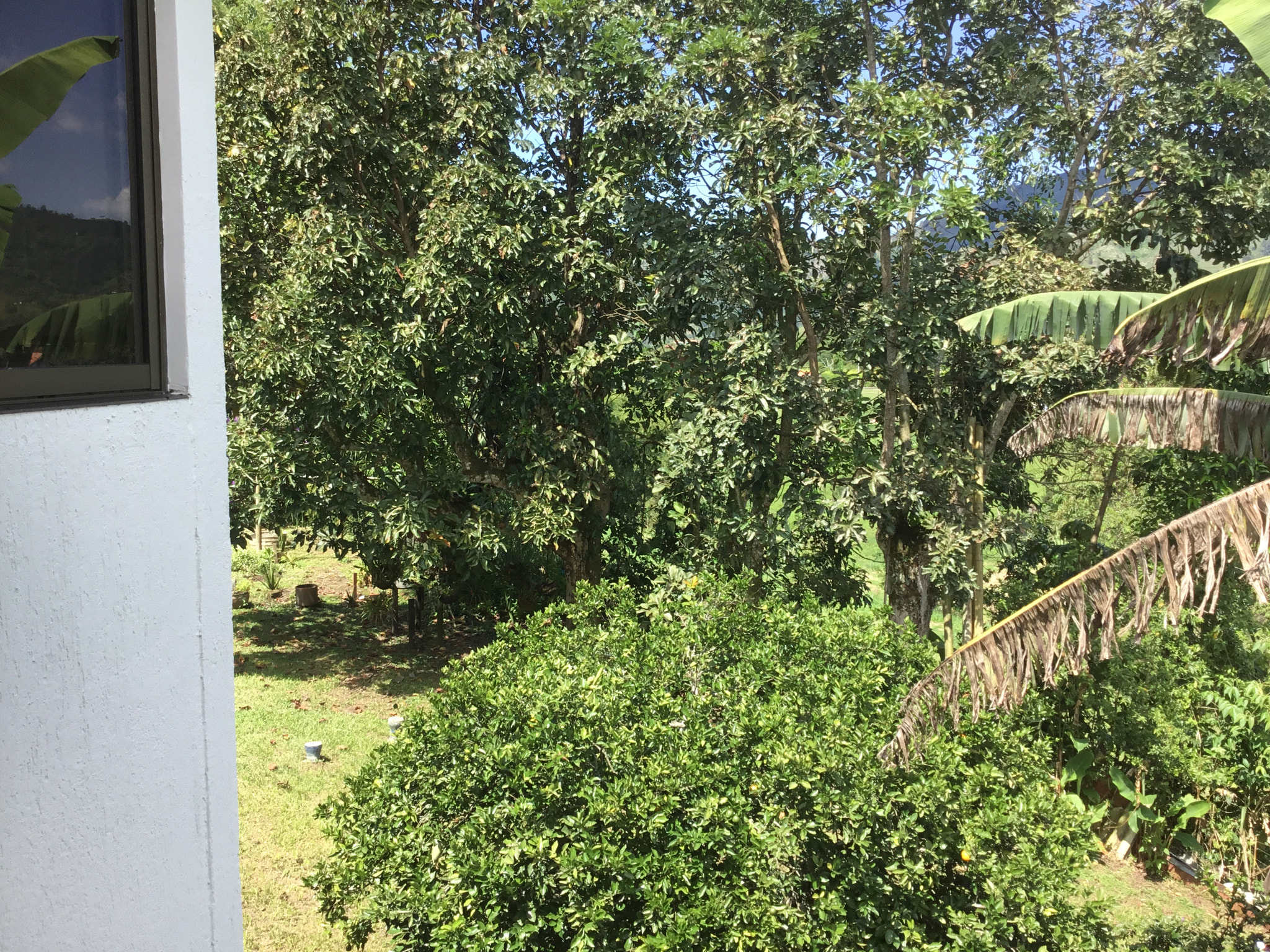 Apple iPad (5th generation) sample photo