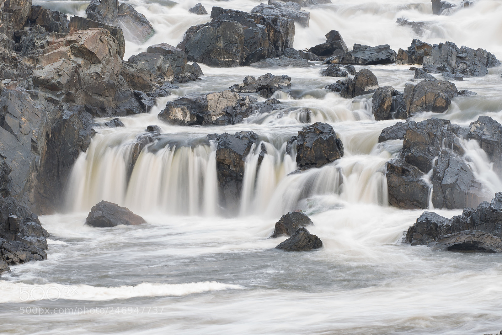 Nikon D610 sample photo. Great falls va photography