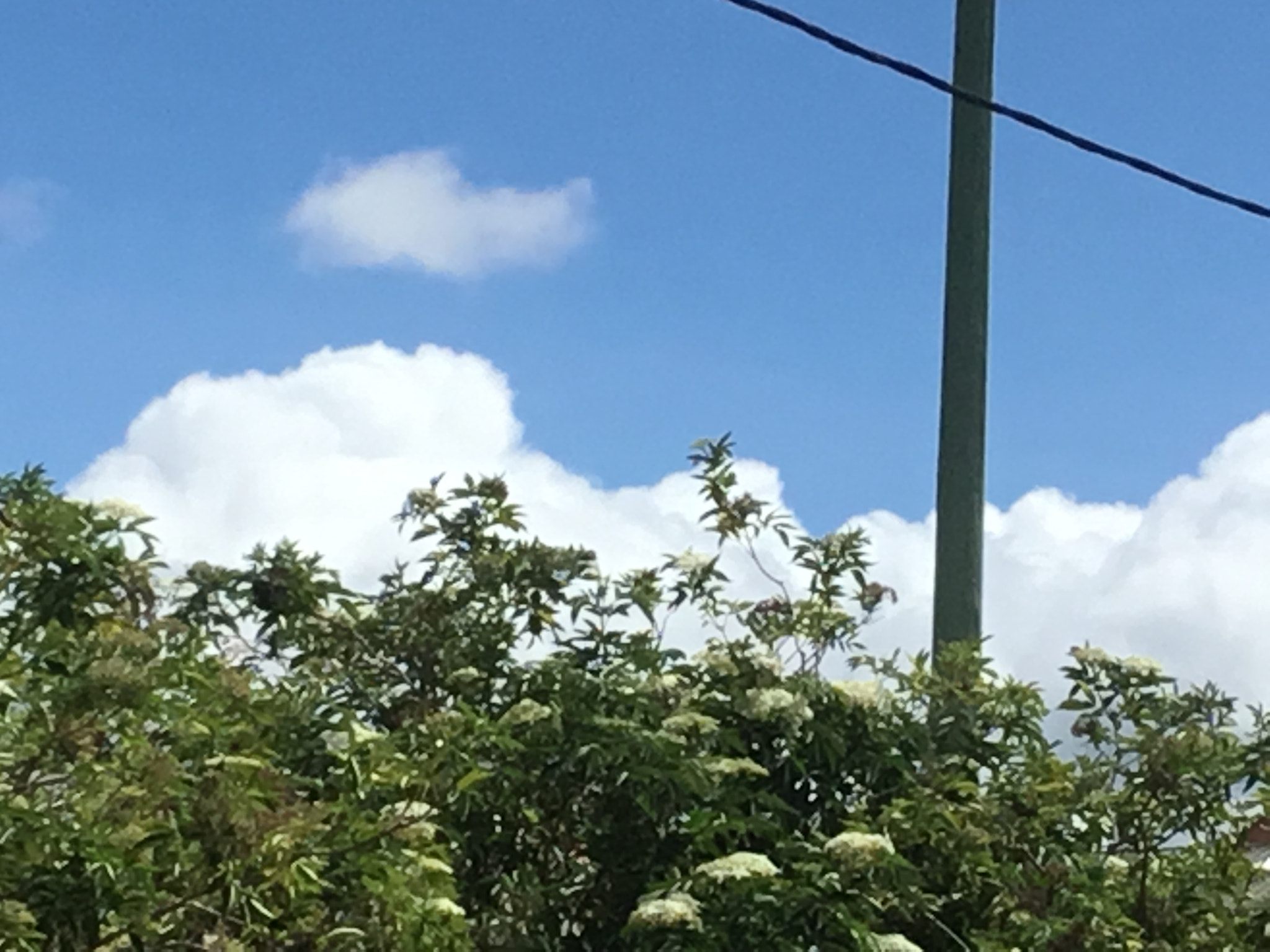 Apple iPad (5th generation) sample photo
