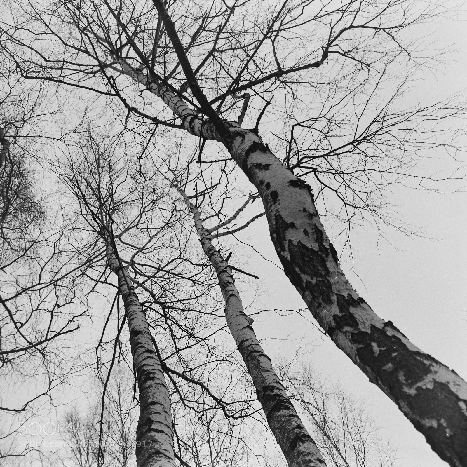 Fujifilm X-T10 sample photo. Pano photography