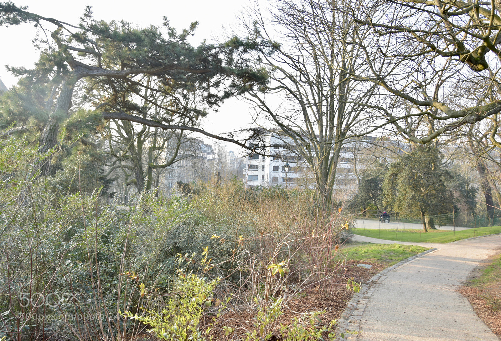 Nikon D3400 sample photo. Buttechaumont photography