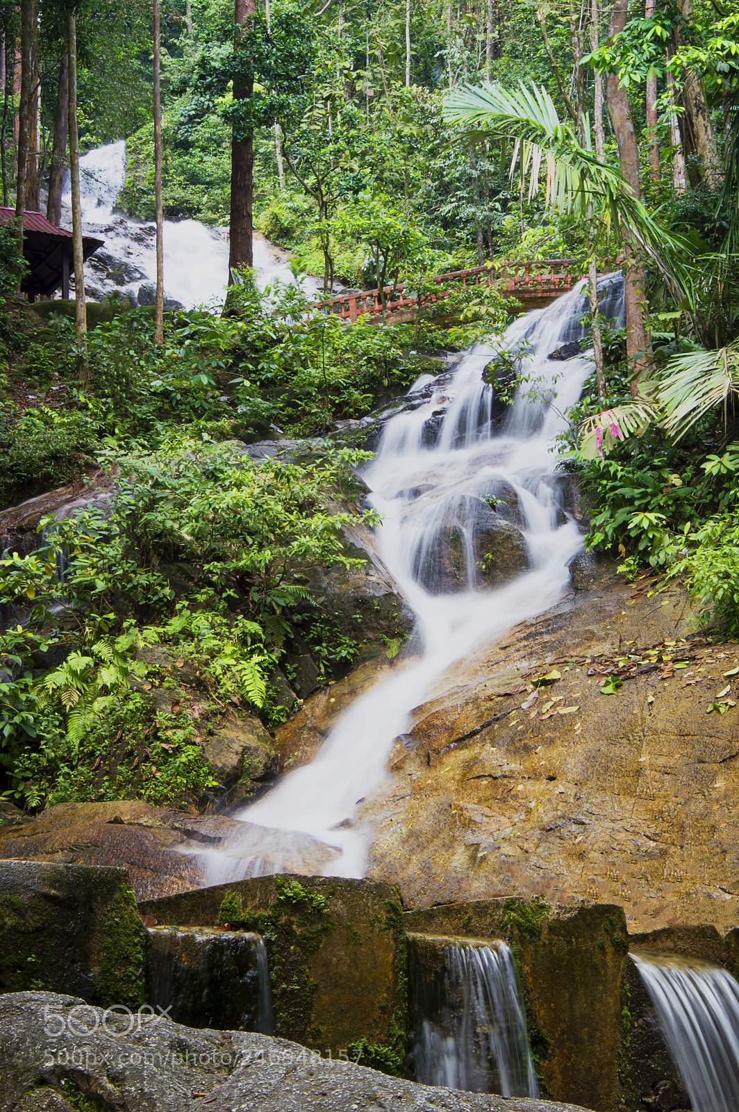 Nikon D3200 sample photo. 3 layers photography
