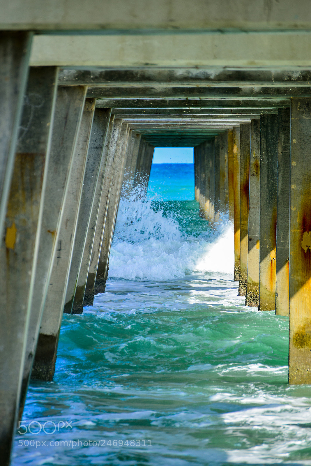 Nikon D800 sample photo. Palm beach quay photography