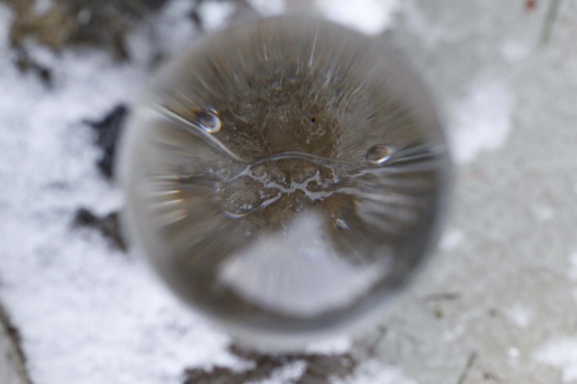 Canon EOS 1300D (EOS Rebel T6 / EOS Kiss X80) sample photo. Surface tension photography