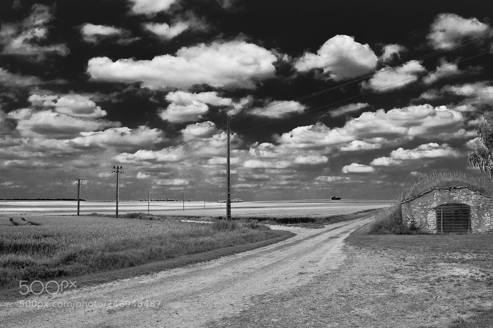 Nikon D3100 sample photo. The choice photography