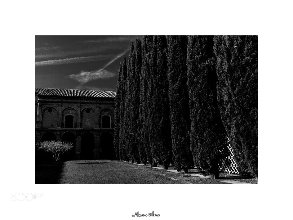 Canon EOS 7D sample photo. Buscando en el interior photography