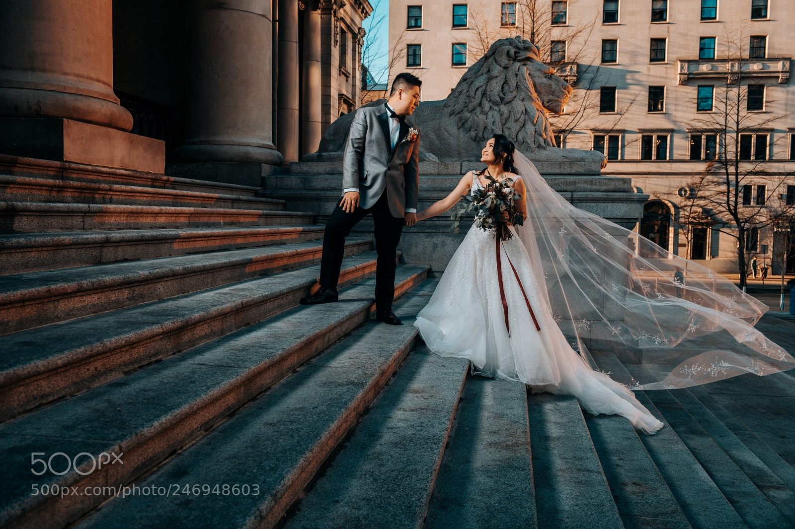 Nikon D850 sample photo. Untitled photography