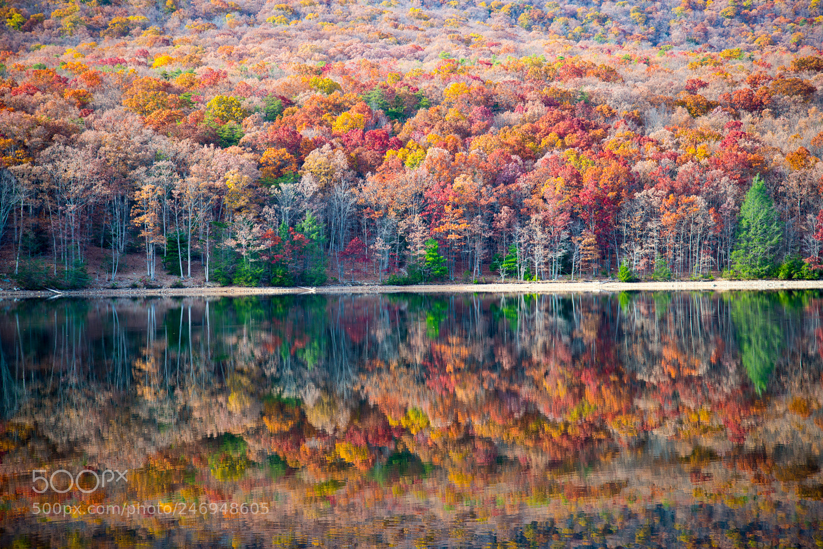 Nikon D610 sample photo. Autumn from a lake photography
