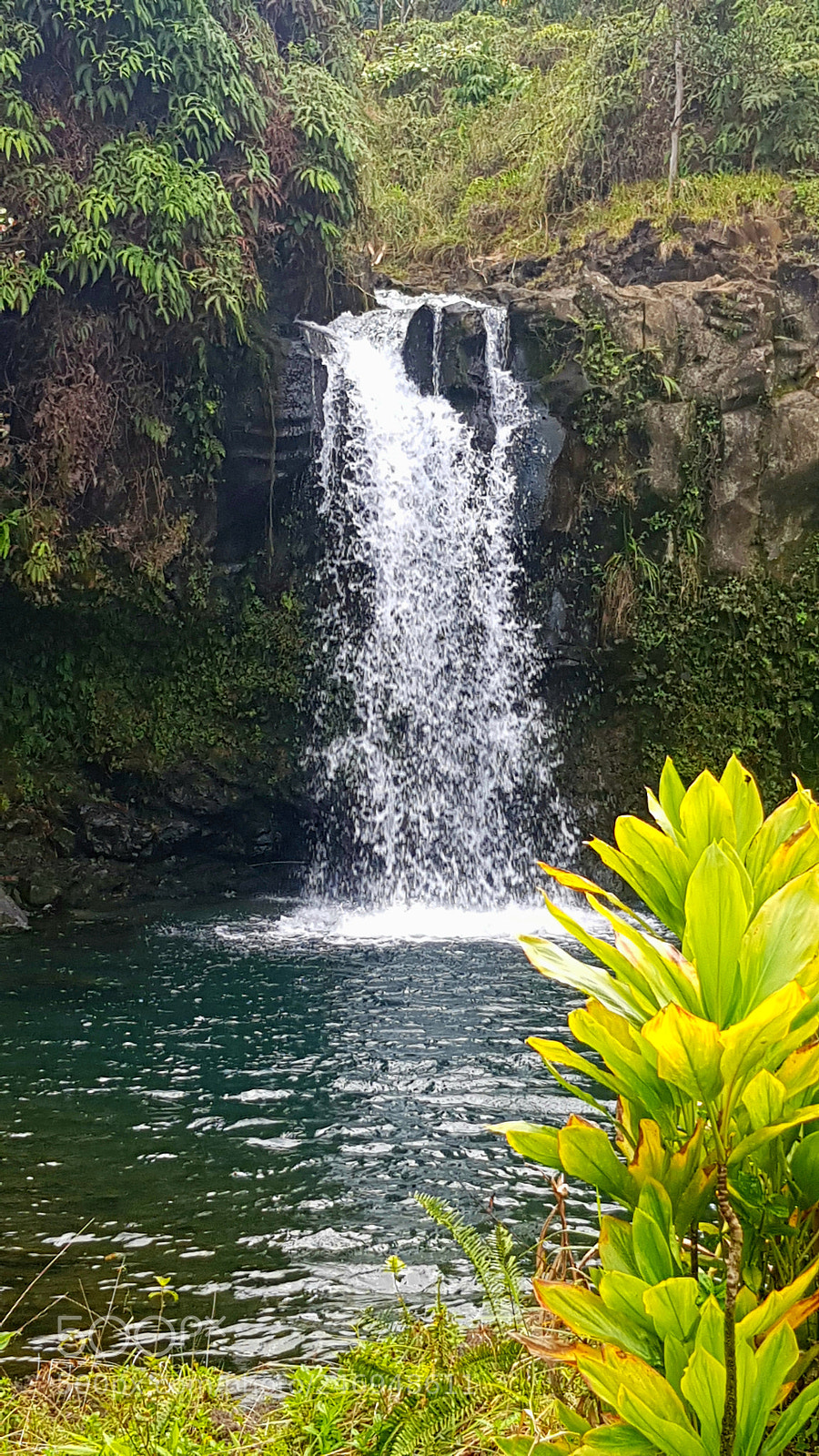 Samsung Galaxy S8+ sample photo. Untitled photography