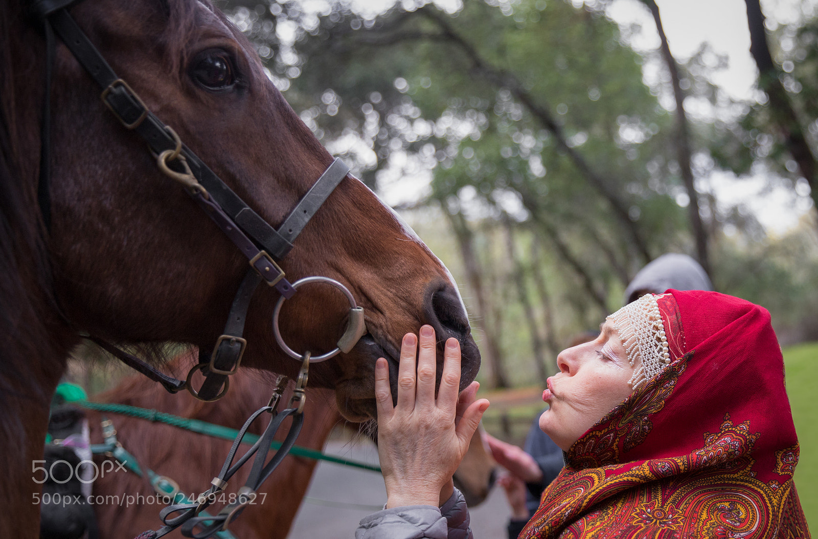 Canon EOS 6D Mark II sample photo. Kissing a horse photography