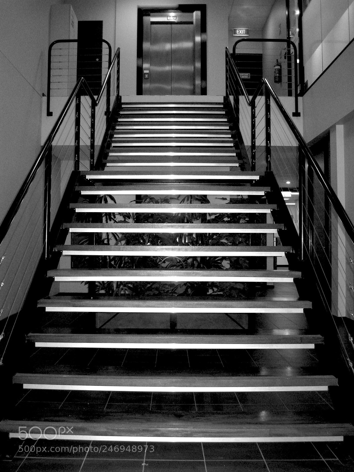 Canon DIGITAL IXUS 960 IS sample photo. A stairway of hope photography