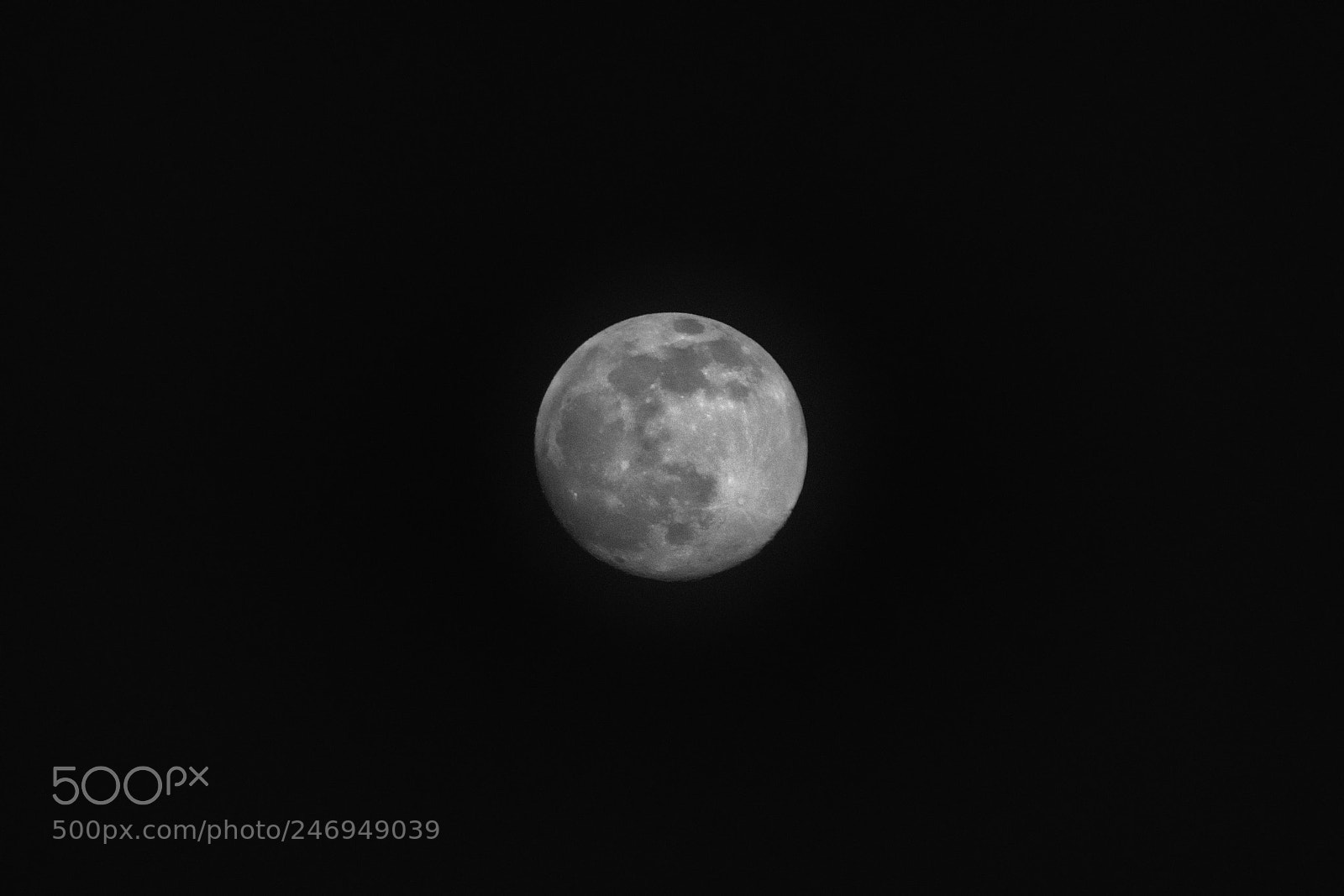 Nikon D7100 sample photo. Moon 8950 photography