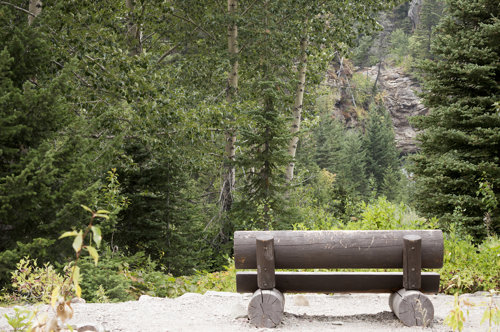 Nikon D3200 sample photo. Lake side bench before photography