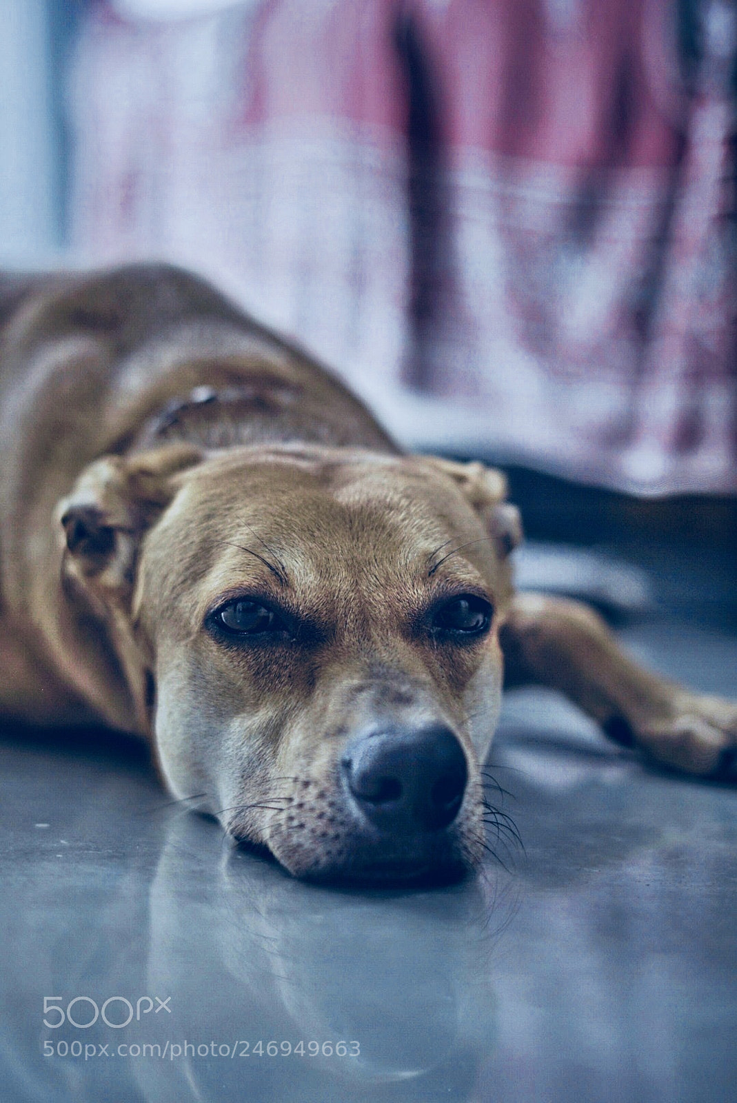 Sony a6500 sample photo. Blue filter photography