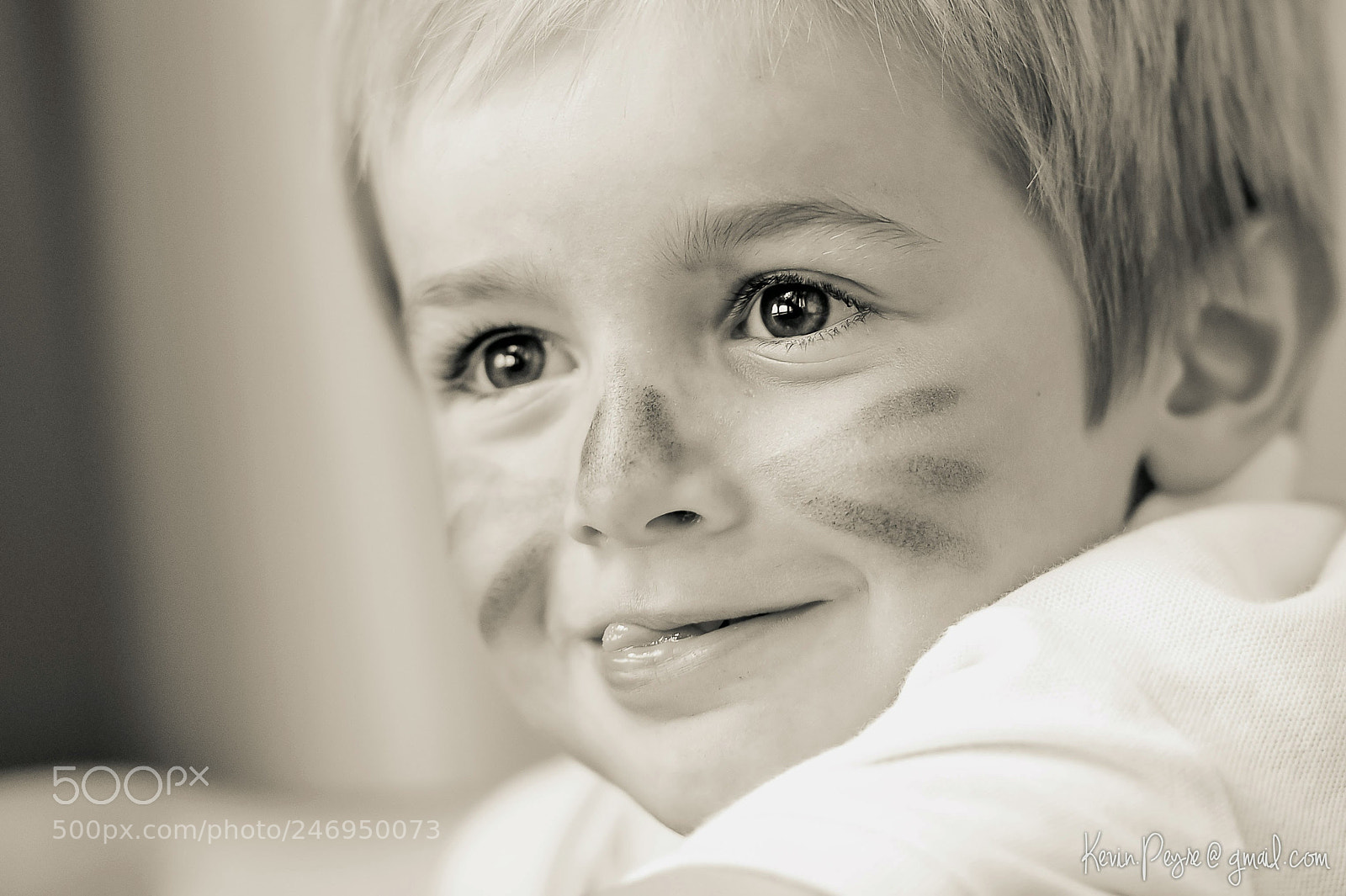 Nikon D700 sample photo. Louis photography