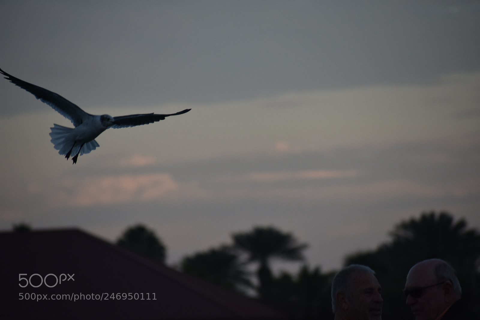 Nikon D3400 sample photo. Untitled photography