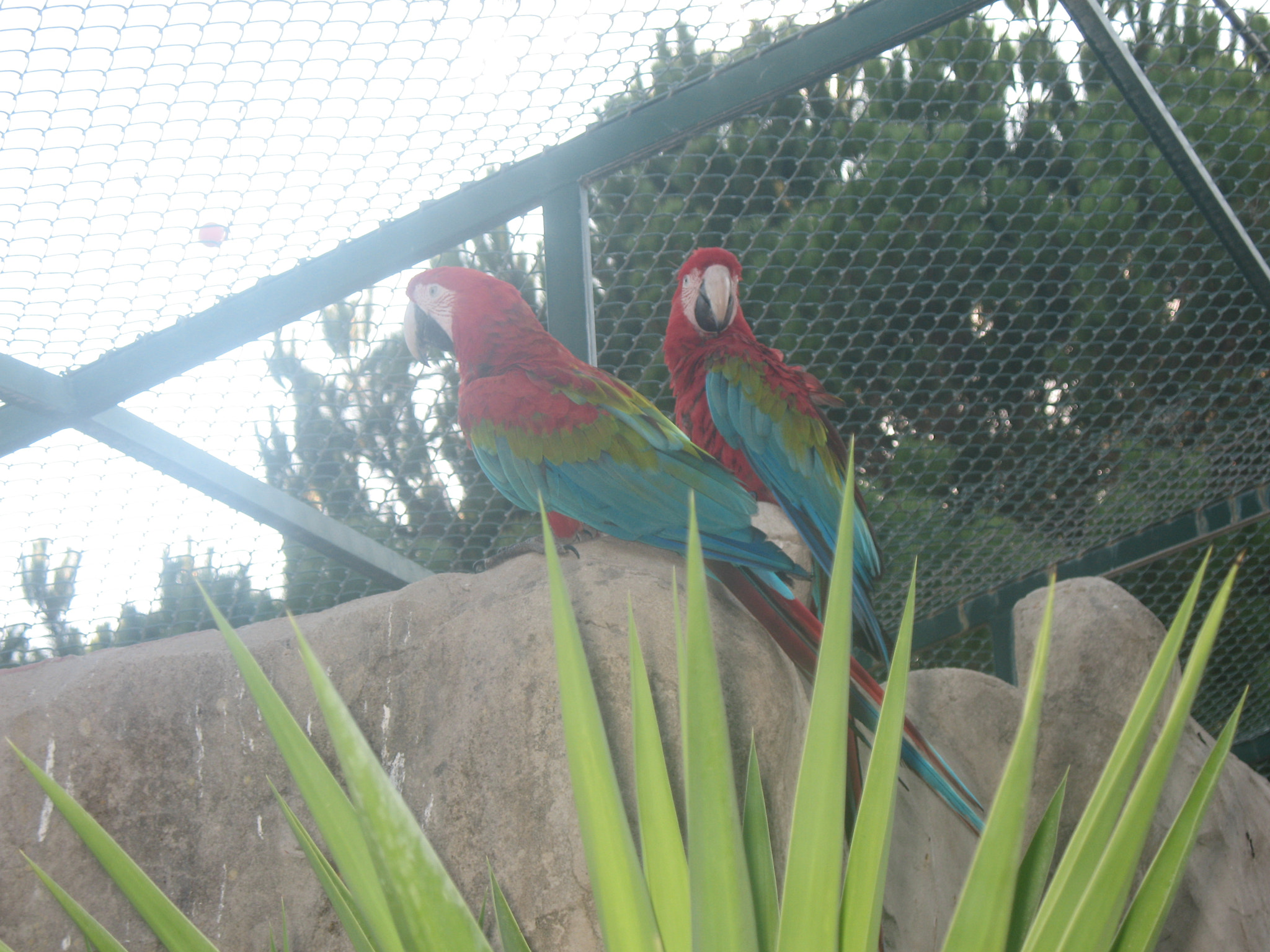 Canon POWERSHOT A630 sample photo. Img photography