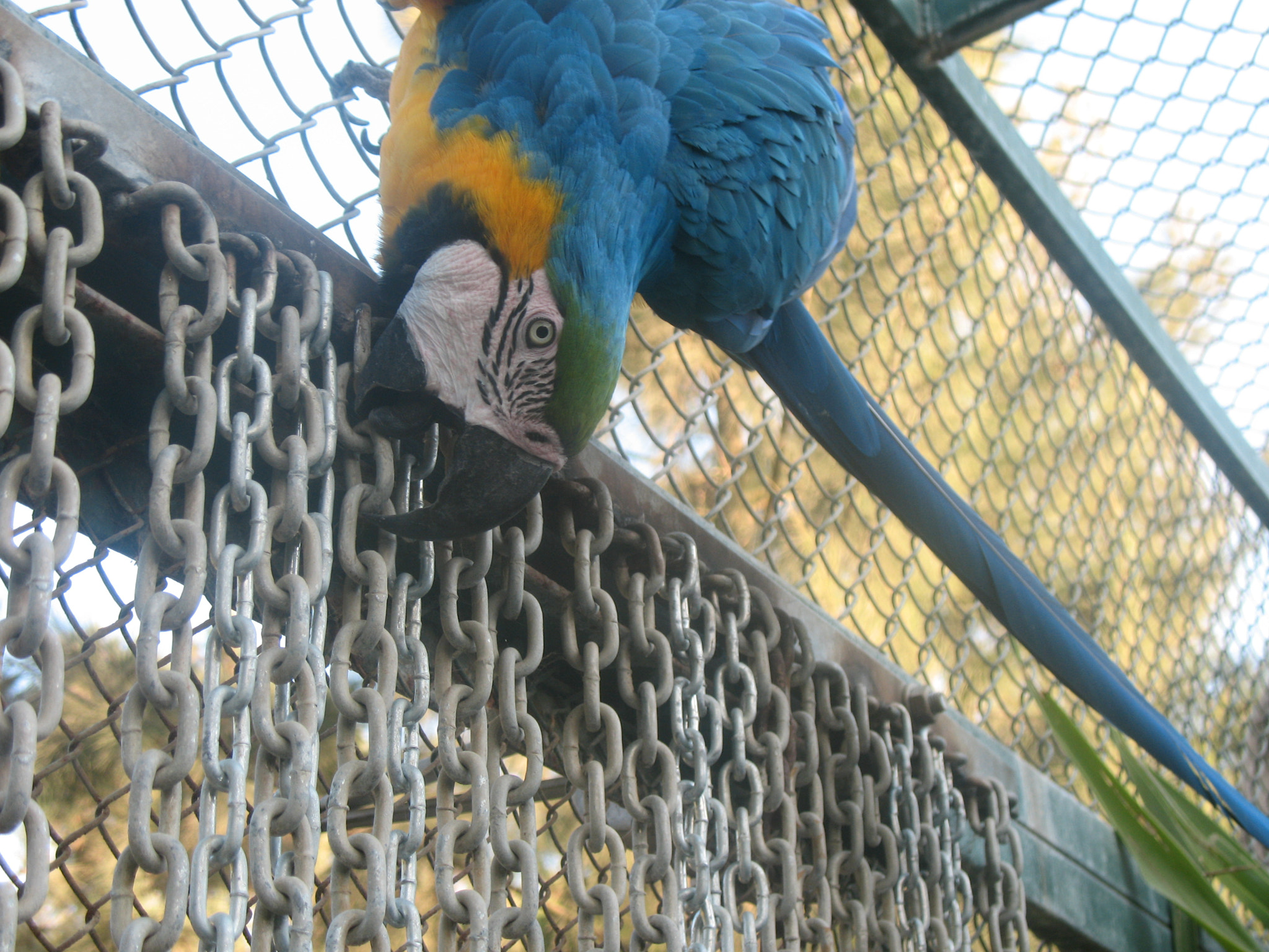 Canon POWERSHOT A630 sample photo. Img photography