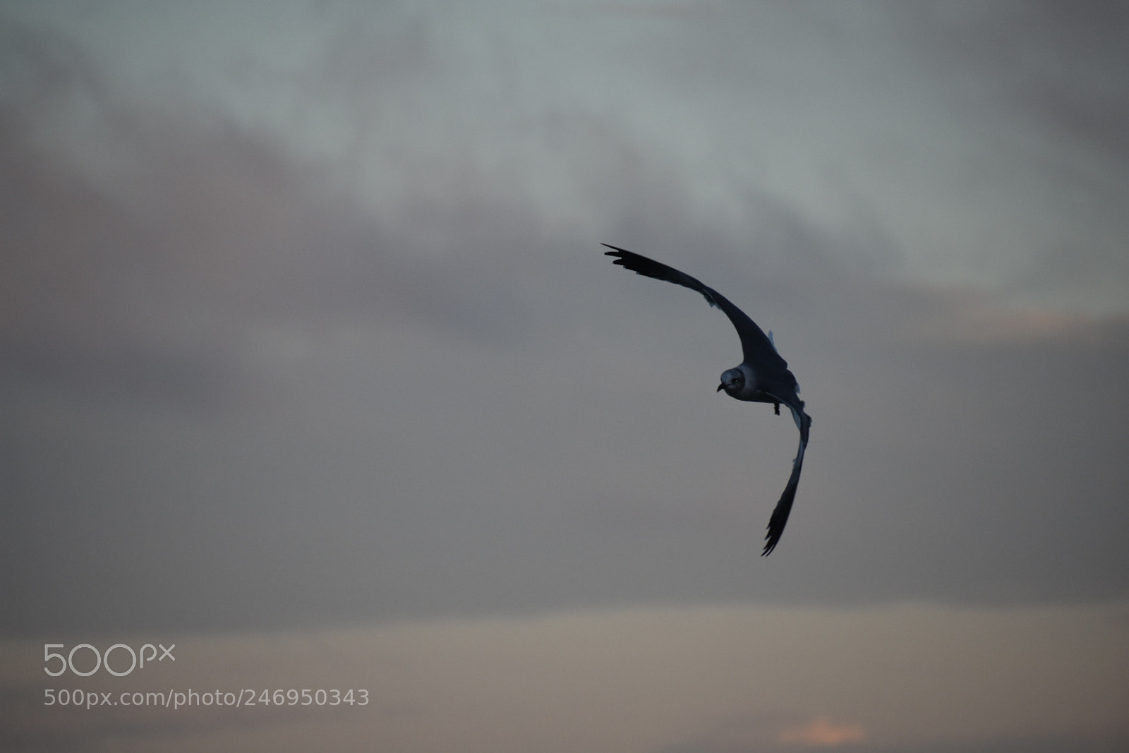 Nikon D3400 sample photo. Untitled photography