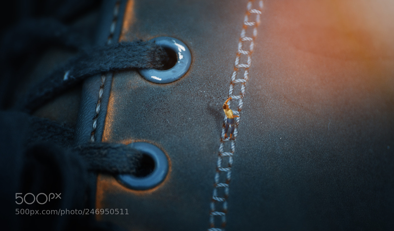 Sony a6300 sample photo. Macro photography