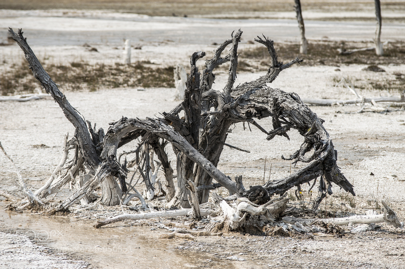 Nikon D3200 sample photo. Cracked photography