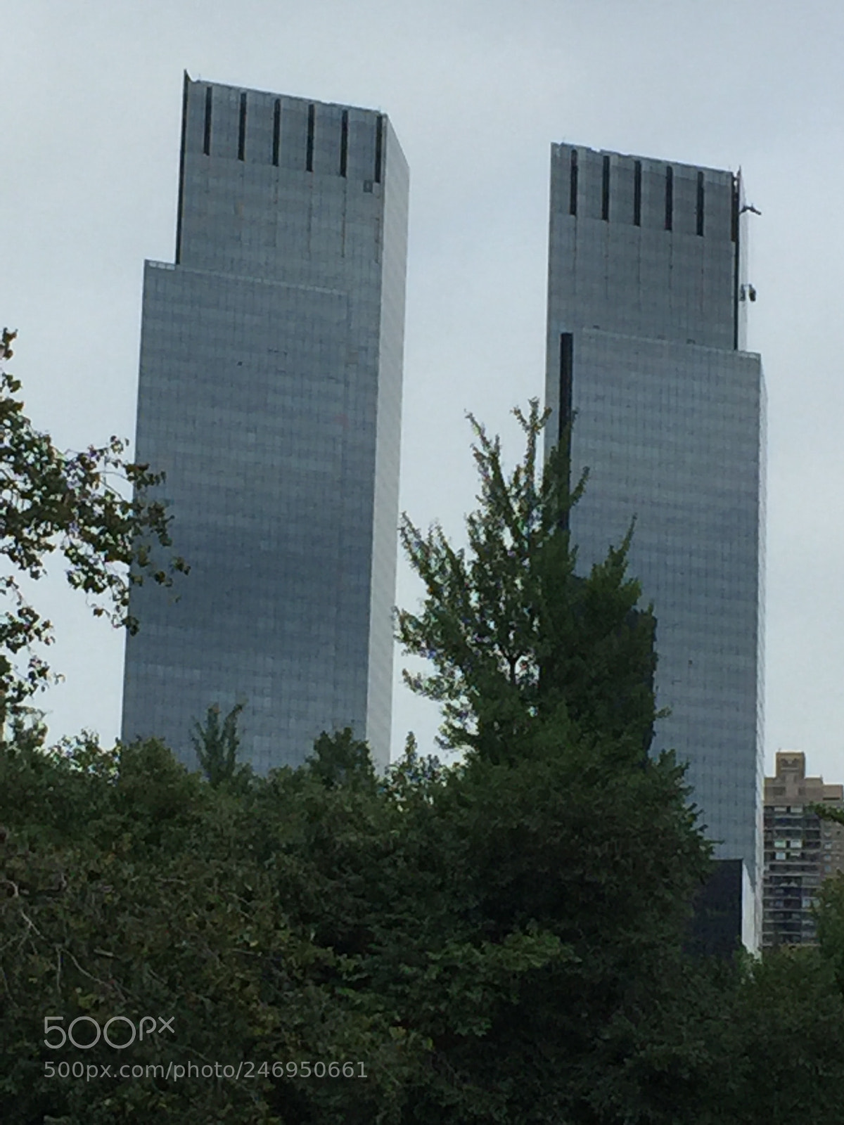 Apple iPhone 6 sample photo. Img photography