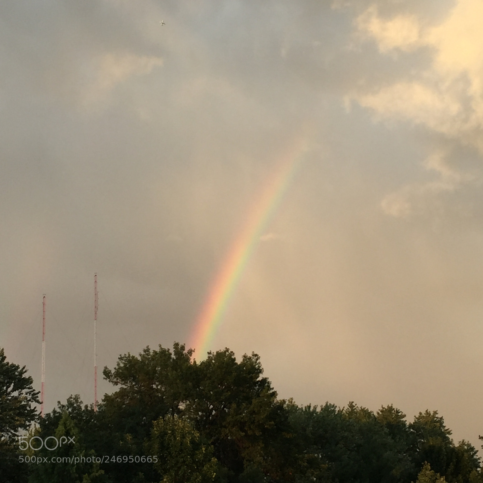 Apple iPhone 6 sample photo. Img photography