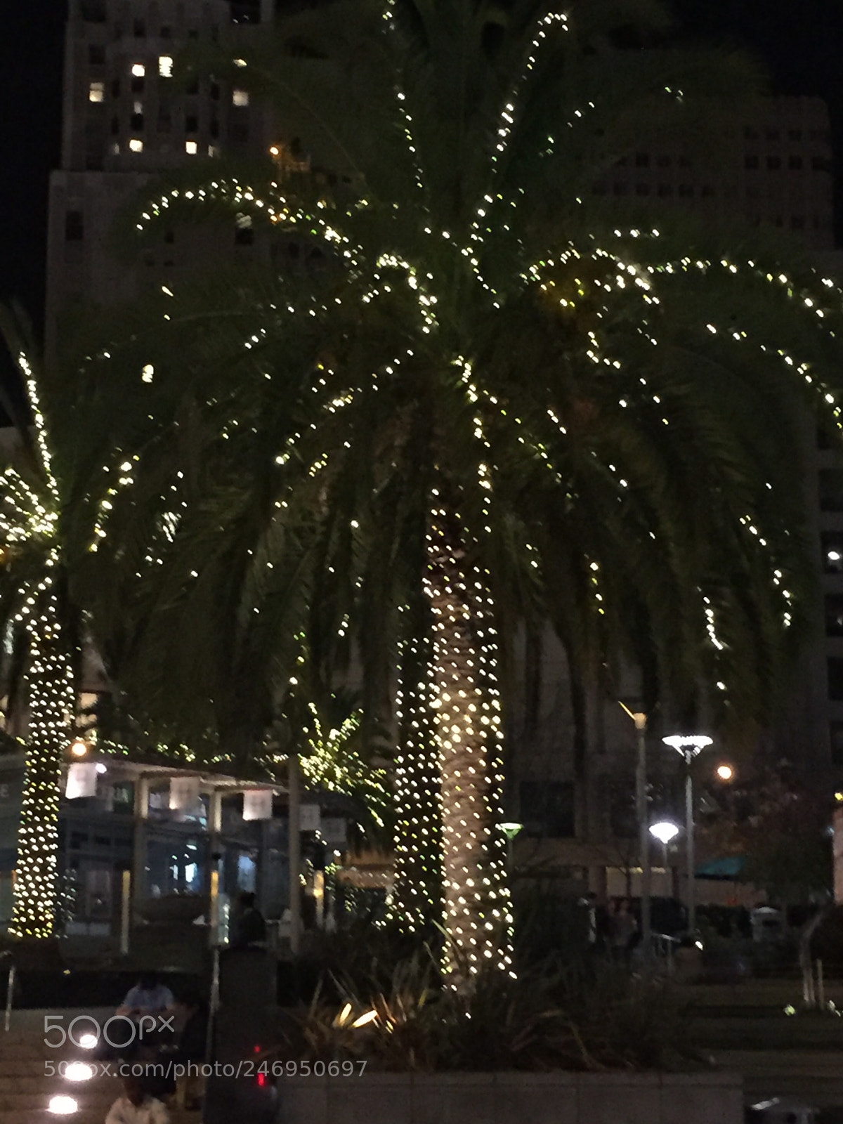 Apple iPhone 6 sample photo. Img photography