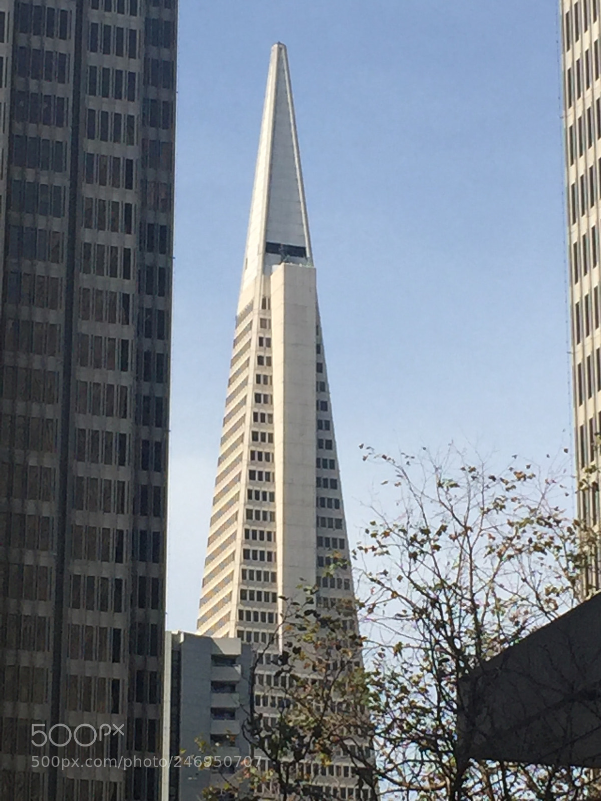 Apple iPhone 6 sample photo. Img photography