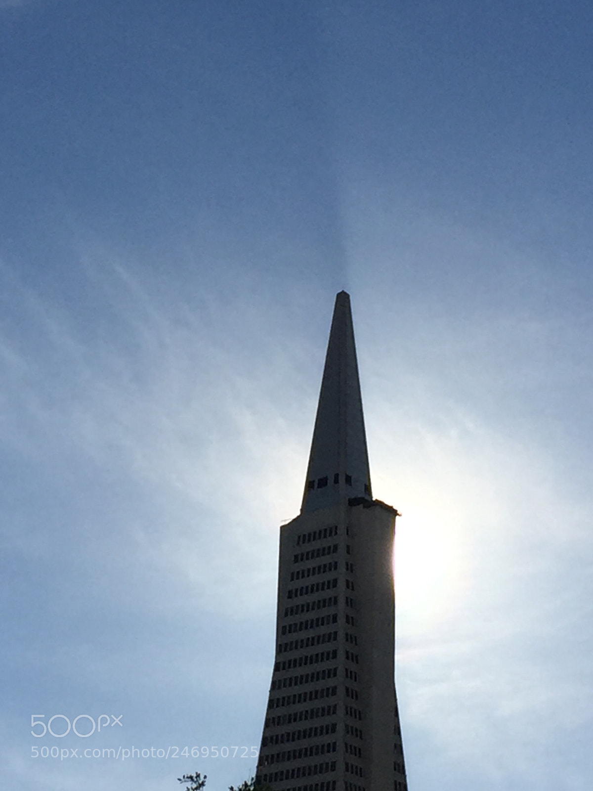 Apple iPhone 6 sample photo. Img photography