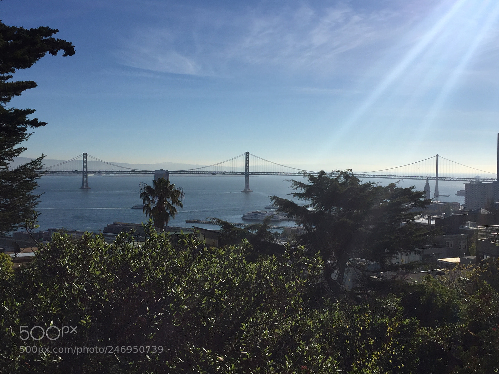 Apple iPhone 6 sample photo. Img photography