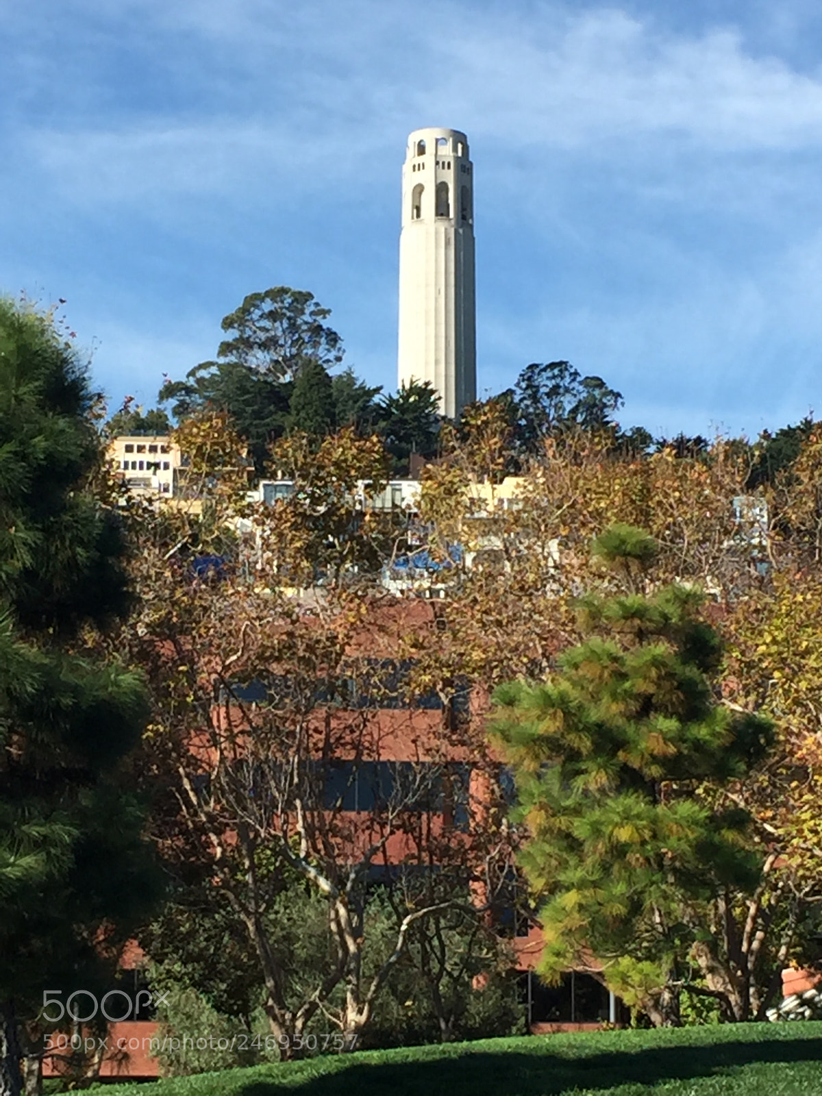 Apple iPhone 6 sample photo. Img photography