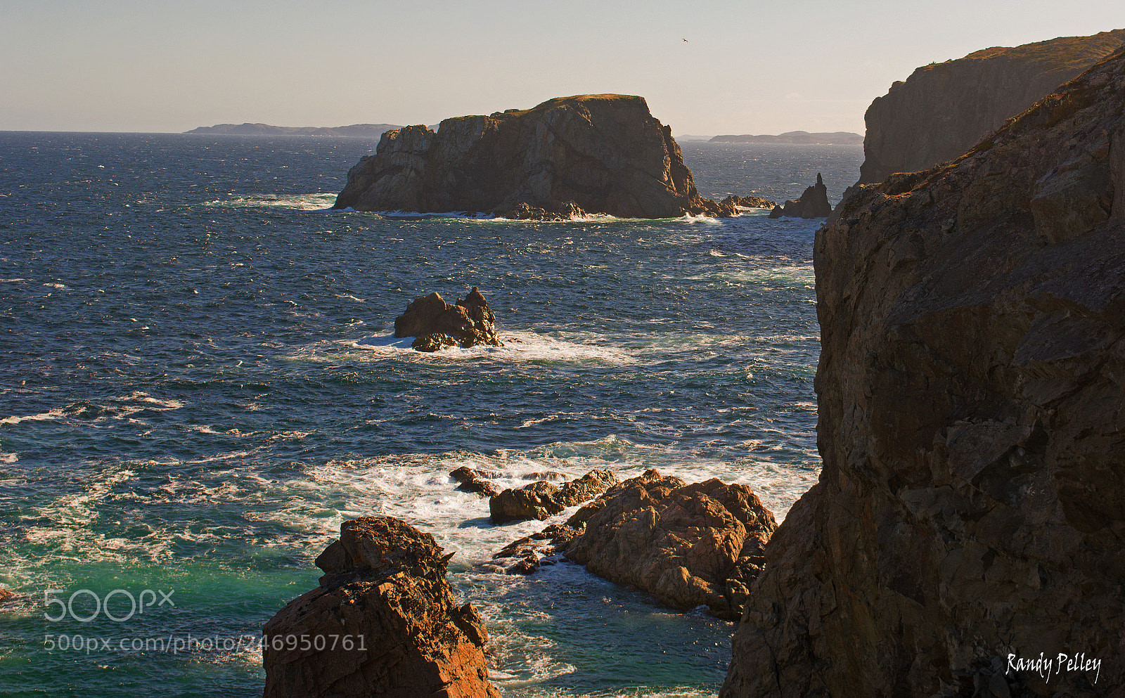 Nikon D7100 sample photo. Twillingate's rugged coastline photography