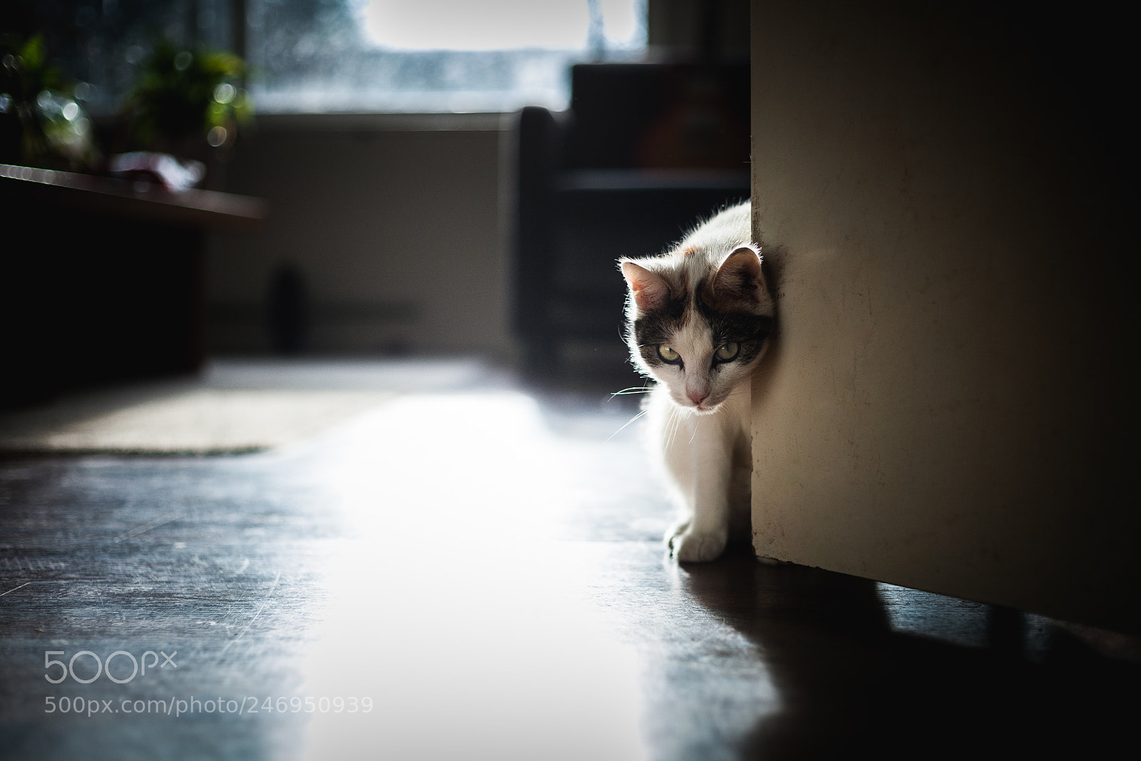 Canon EOS 5D sample photo. ~ photography