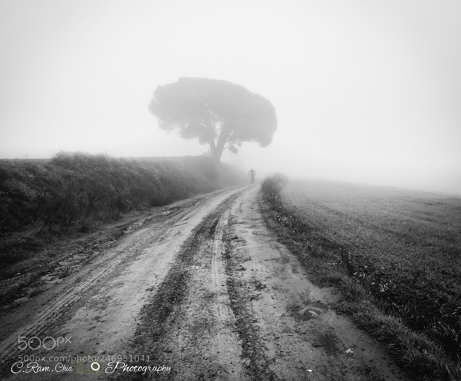 Canon EOS 760D (EOS Rebel T6s / EOS 8000D) sample photo. La niebla photography