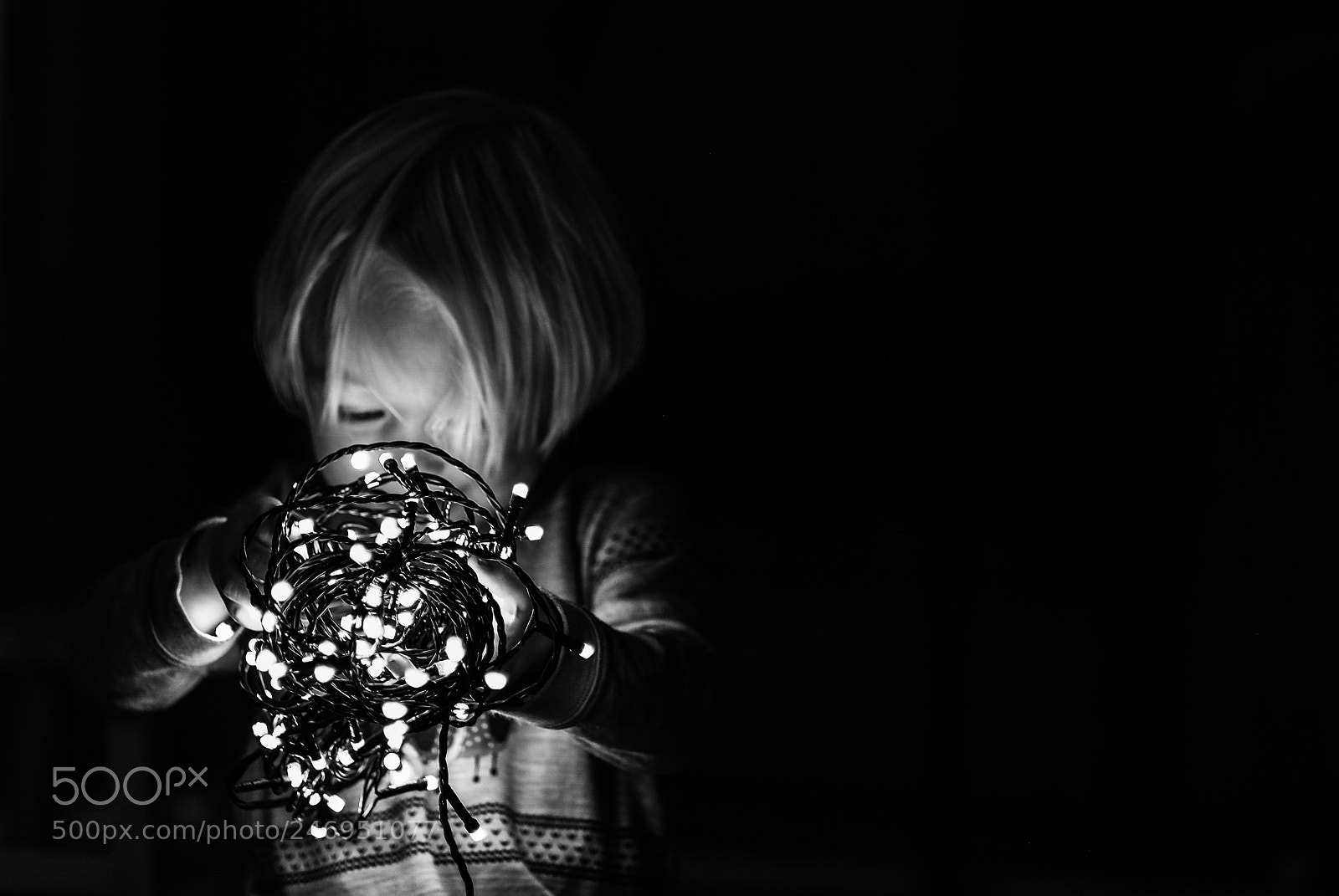 Fujifilm X-T1 sample photo. Microcosmos photography