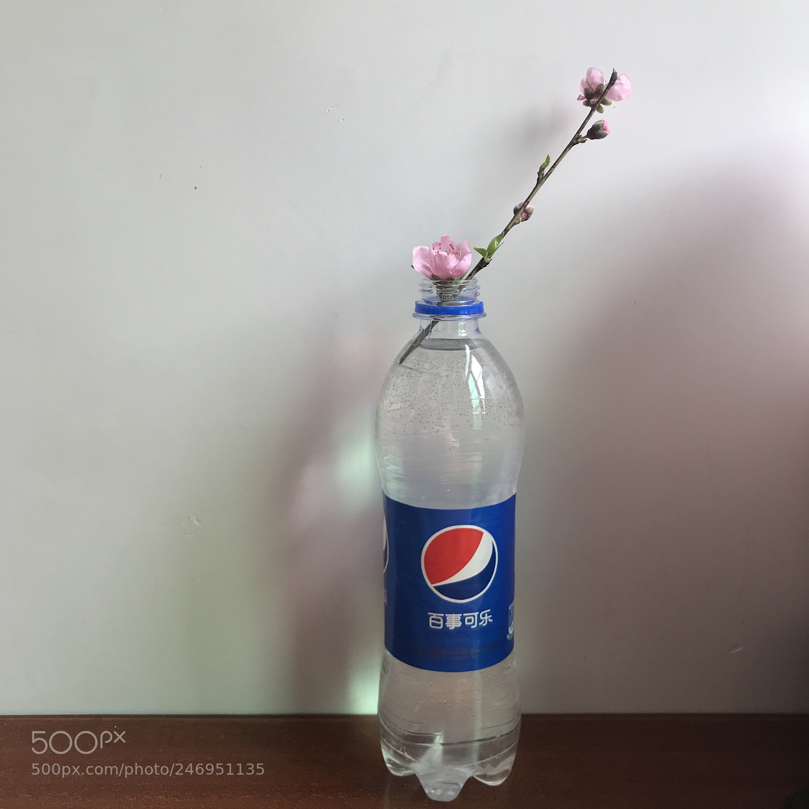 Apple iPhone 7 sample photo. 1854900549.jpg photography